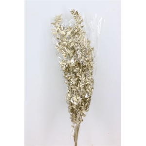 Dried Ruscus Nat Platinum Glitter