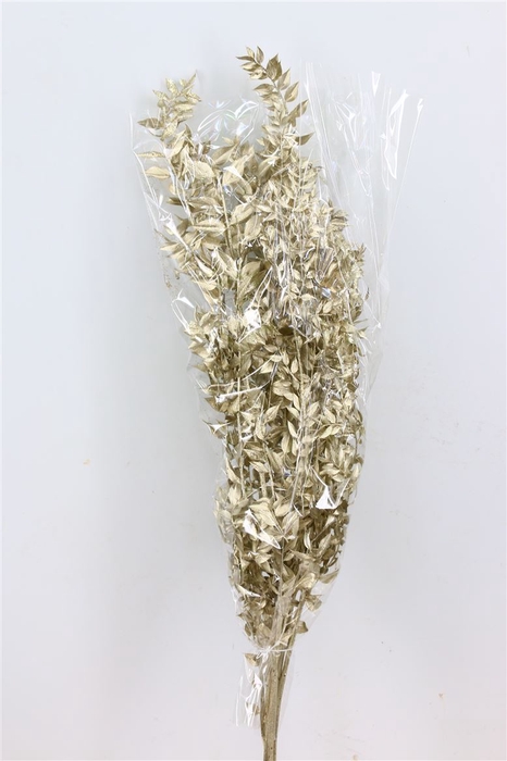 <h4>Dried Ruscus Nat Platinum Glitter</h4>