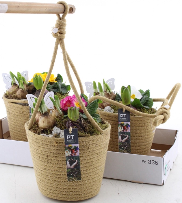 <h4>ARR PL IN SCHAAL</h4>