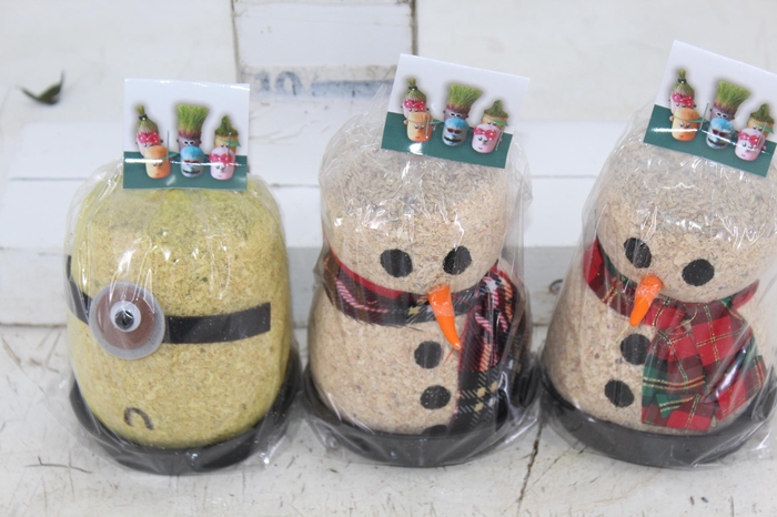 <h4>BONECO MANECO</h4>