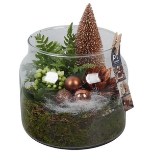 PTCHB9887 Arrangementen Kerst