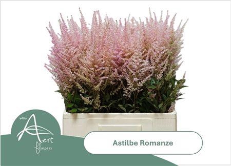 Astil C Romanze