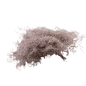 Koraalvaren Klb Champagne X5