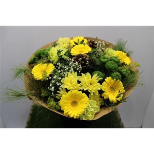 Gem Boe Groot Geel 35 Stelen Vers