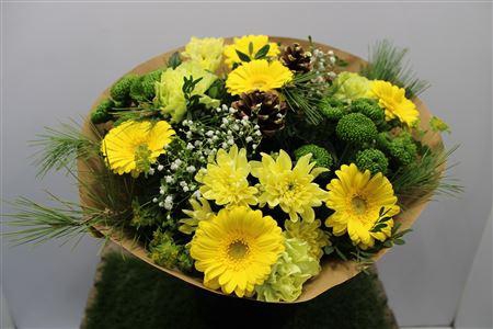 <h4>Gem Boe Groot Geel 35 Stelen Vers</h4>