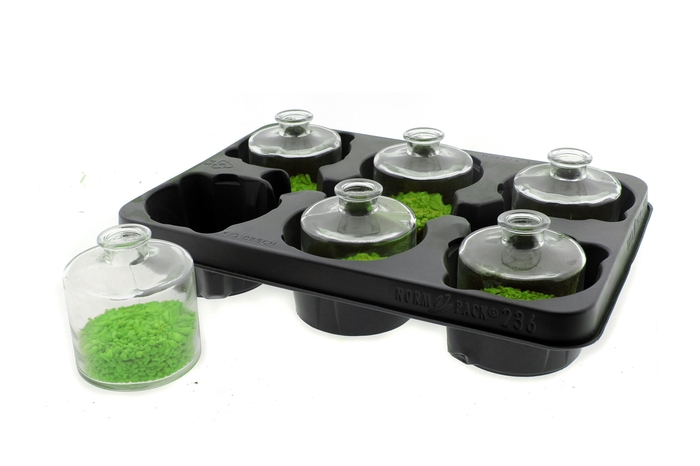 <h4>HUIS EN TUINDECO H%</h4>