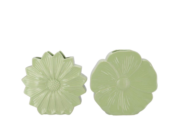 Bloom Green Vase Daisy Ass 30x9x30cm