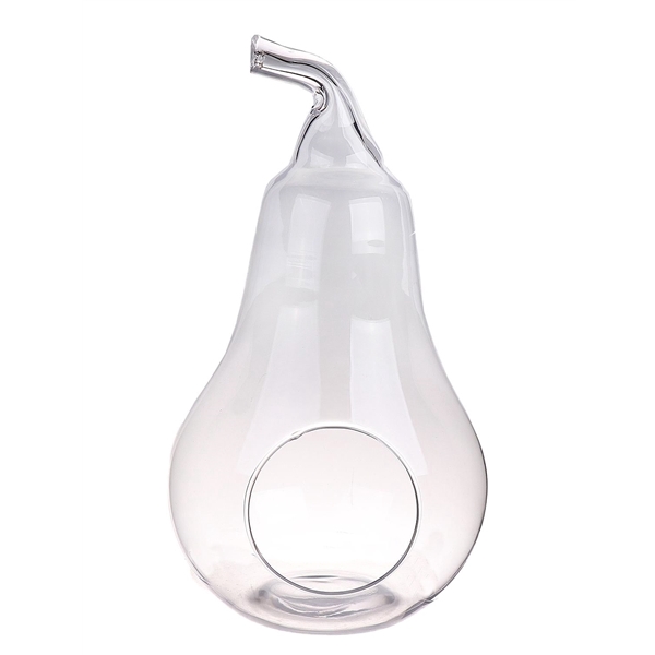 <h4>Terrarium Pear Farrin d17xh31 clear</h4>