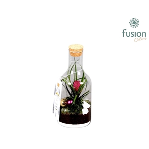 Green Bottle met Bromelia