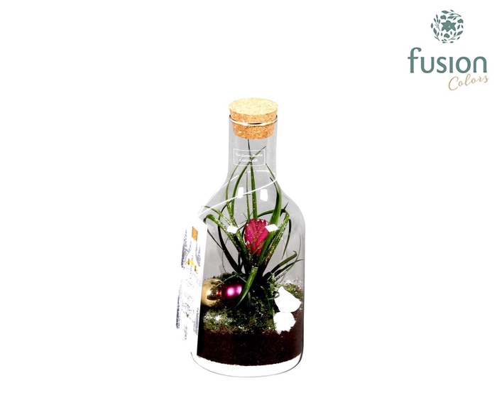<h4>Green Bottle met Bromelia</h4>