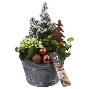 PTCHB9789 Arrangement Christmas Bronze in metalen pot