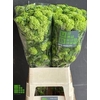 Viburnum Roseum St 4 Bal
