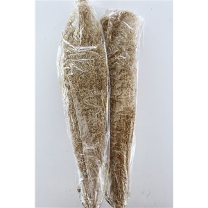 Dried Munni Grass Matt Gold Bunch Slv