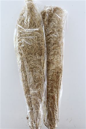 <h4>Dried Munni Grass Matt Gold Bunch Slv</h4>