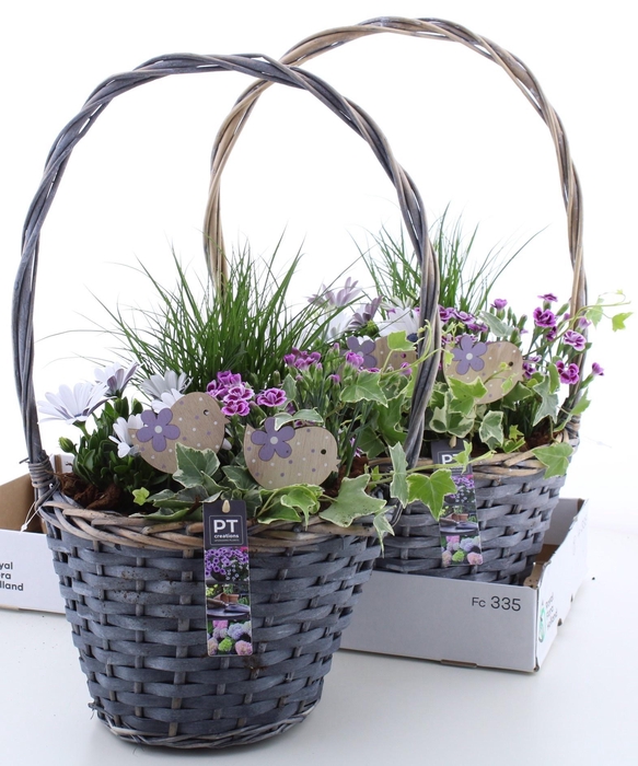 <h4>ARR TUINPLANTEN</h4>