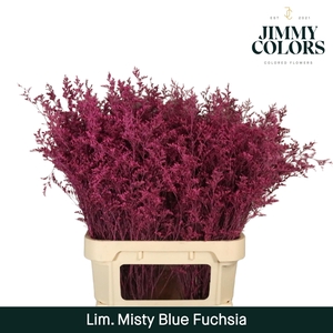 Lim Misty Blue L90 Fuchsia