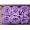 Ro Pres Classic Purple Light