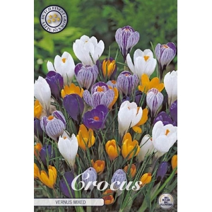 Crocus Vernus Mixed X10