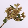 Bougainvillea Bundle Green BK770001GRN