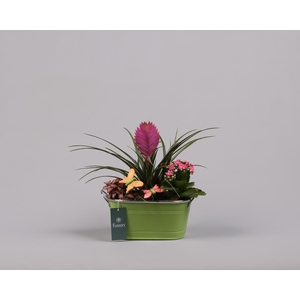 Zinken pot ovaal met voorjaarsarrangement en vlinders