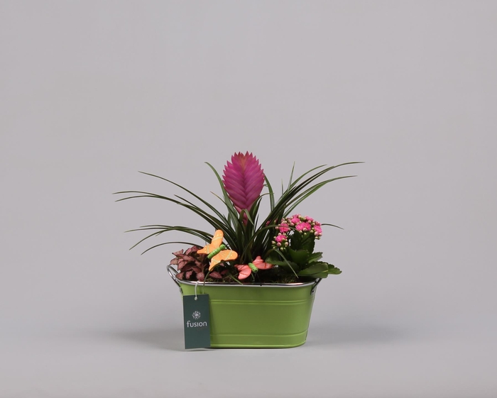 <h4>Zinken pot ovaal met voorjaarsarrangement en vlinders</h4>