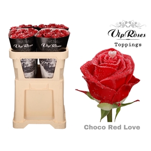 R GR CHOCO RED LOVE (L 60cm) 588