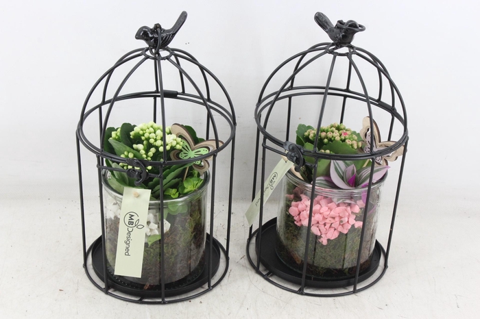 <h4>arr2 MB - Vogelkooi - roze/wit</h4>