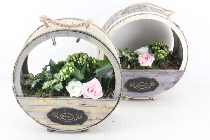 <h4>arr2 TD - Houten wiel x3 - roze/wit</h4>