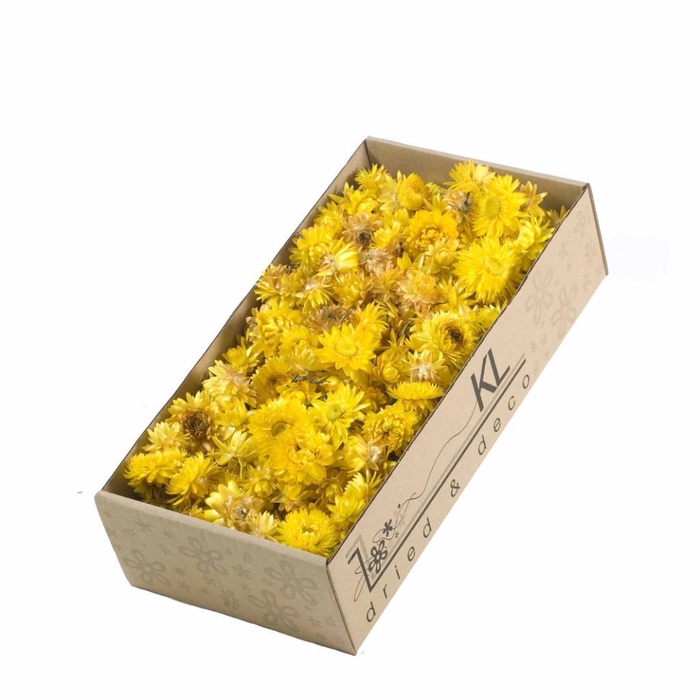 <h4>Helichrysum Heads 100gr Natural Yellow</h4>