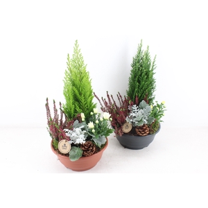 arr4 Outdoor PL - Kunstst. schaal L los