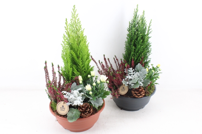 <h4>arr4 Outdoor PL - Kunstst. schaal L los</h4>