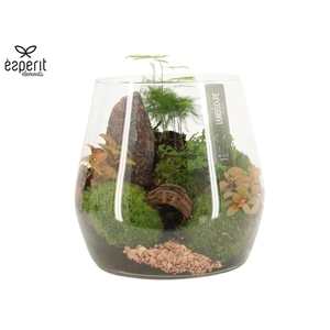 91016: Landscape arrangement