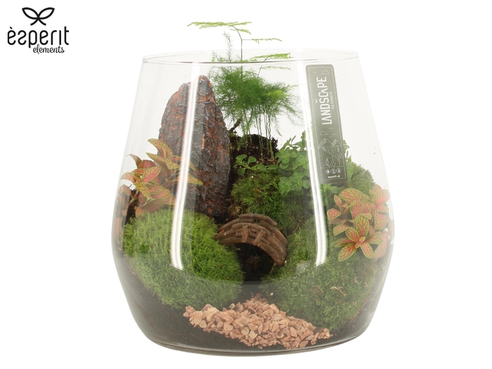 <h4>91016: Landscape arrangement</h4>