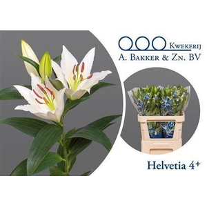Li Or Helvetia