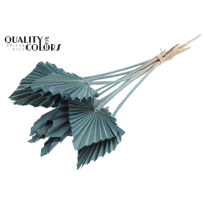 <h4>Palm Spear per stem Frosted Light Blue</h4>