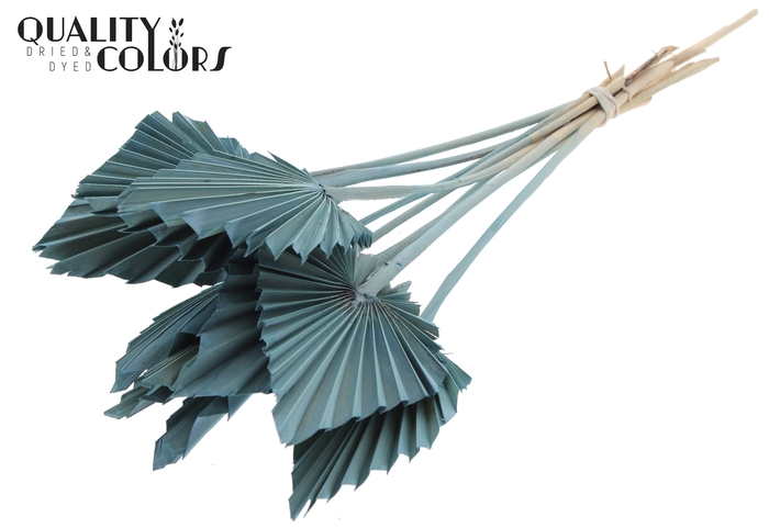 Palm Spear per stem Frosted Light Blue
