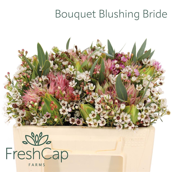 <h4>Bouquet Blushing Bride</h4>