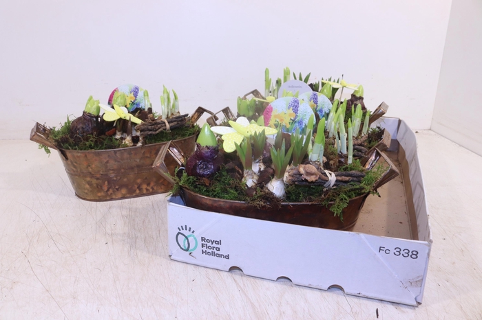 <h4>ARR BOL KNOLGEWAS</h4>