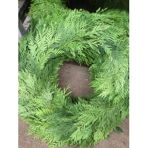 KRANS CONIFEER 50