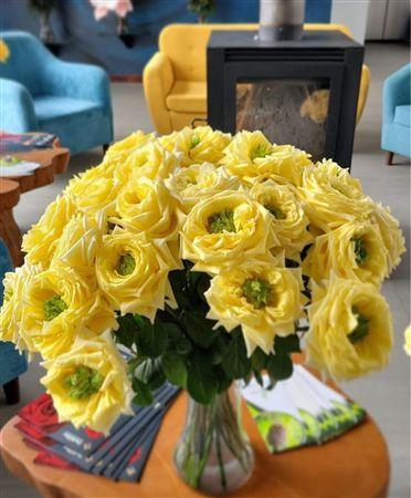 <h4>R Gr Sunny Day's</h4>