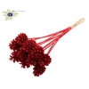 Pine cone 5-7cm on stem Red + Glitter