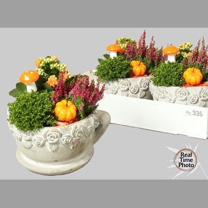 ARR TUINPLANTEN