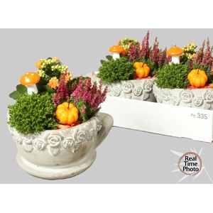 ARR TUINPLANTEN