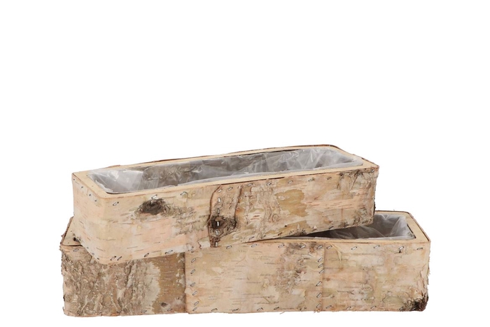 Birch Planter Rectangle S/2 25x6x5 / 34x10x7cm