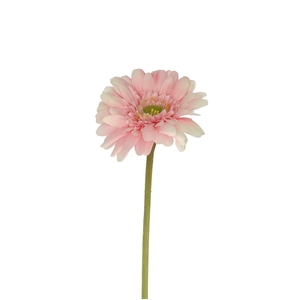 Gerbera 55cm