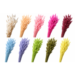 Dried Bleached Lagurus MIX 50gr