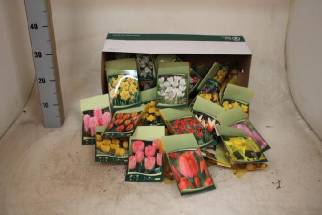 <h4>BLOEMBOL OV</h4>