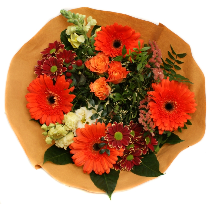 <h4>202275 Oranje</h4>