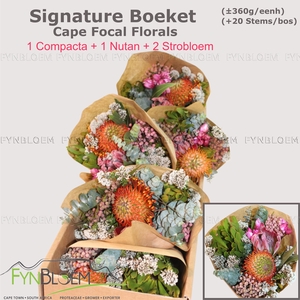 PROTEA PER BOS