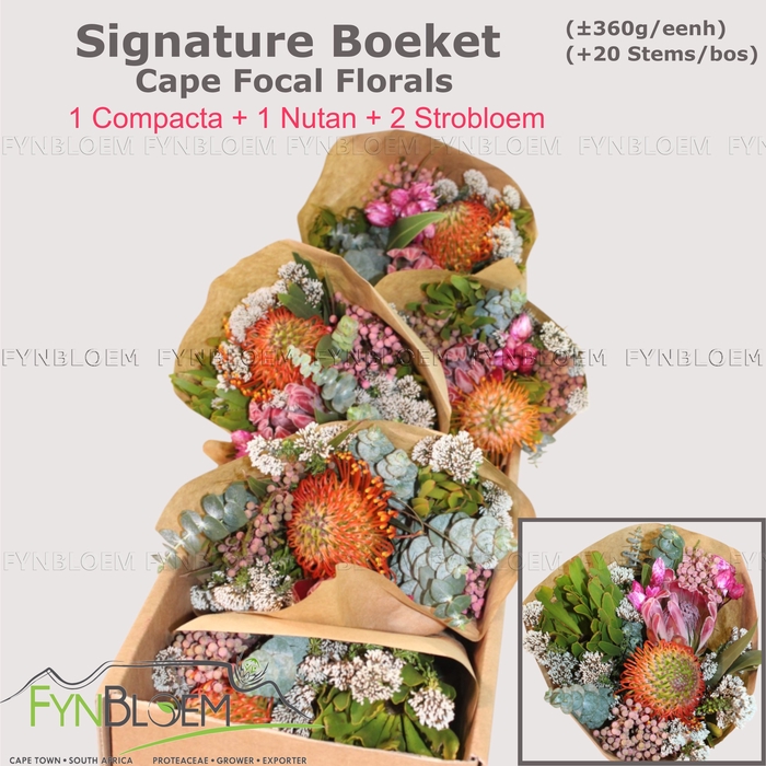 <h4>PROTEA PER BOS</h4>